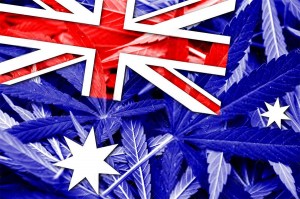 Australia zalegalizowała medyczną marihuanę, GrowEnter