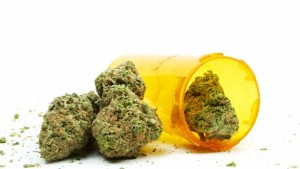 Ministerstwo Zdrowia refunduje import medycznej marihuany, GrowEnter