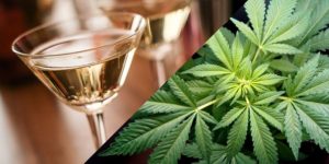 Badania potwierdzają, że alkohol zwiększa agresję, podczas gdy marihuana ją redukuje, GrowEnter