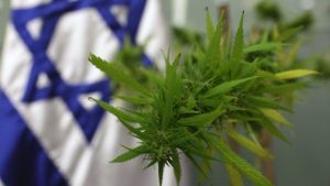 Izrael przygotowuje się do legalizacji marihuany w celach rekreacyjnych, GrowEnter