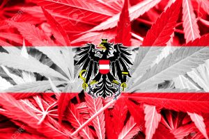 Coraz więcej przestępstw związanych z cannabisem w Vorarlberg w zachodniej części Austrii, GrowEnter