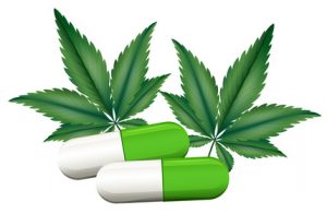 Lek ratujący życie   cannabis, GrowEnter