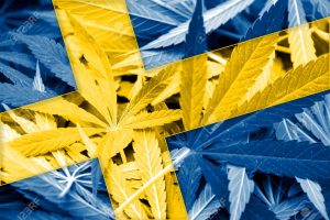 Szwecja: pierwsi pacjenci otrzymują medyczną marihuanę, GrowEnter