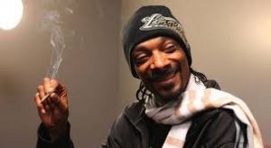 Snoop Dogg wydał dokument o austriackiej kulturze palaczy marihuany, GrowEnter