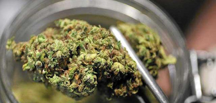 Pacjenci, którzy używają medycznej marihuany rzadziej sięgają po leki na receptę, GrowEnter