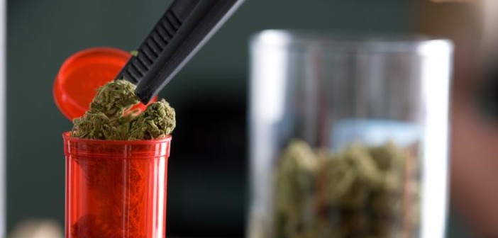 76% lekarzy popiera używanie marihuany w celach medycznych, GrowEnter