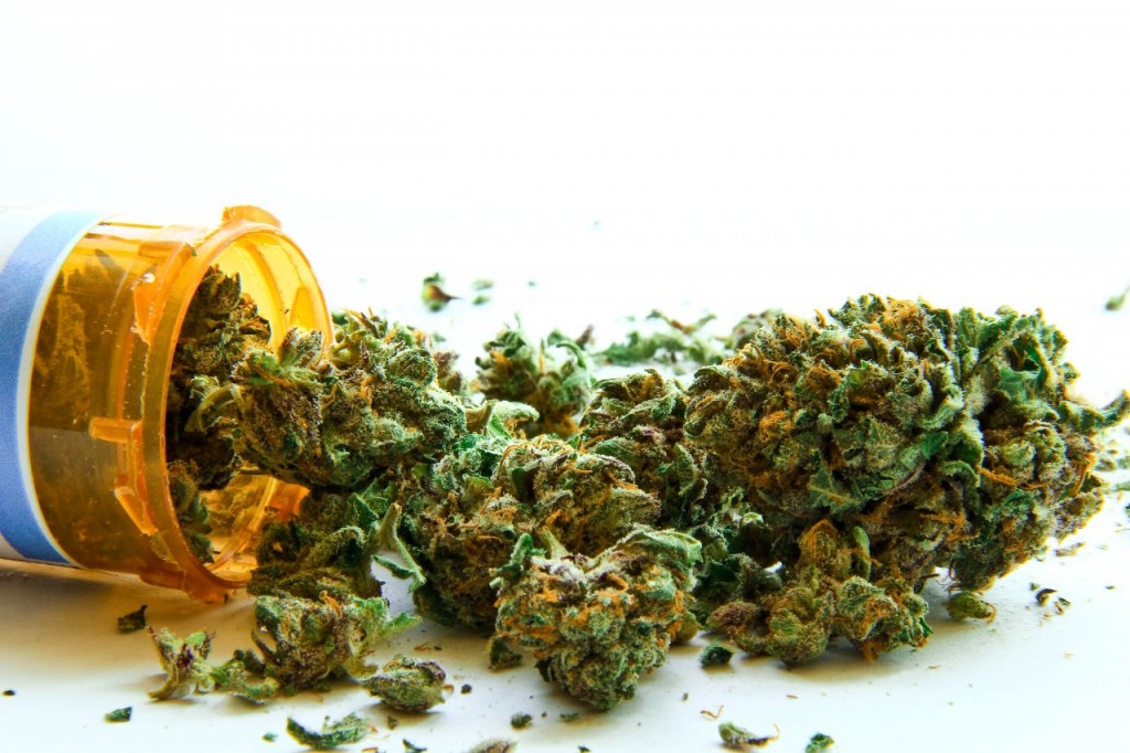 Marihuana medyczna: więcej niż THC i CBD, GrowEnter