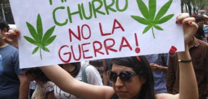 Meksyk: Marihuana w Sądzie Najwyższym, Możliwy Punkt Zwrotny w Drodze do Legalizacji, GrowEnter
