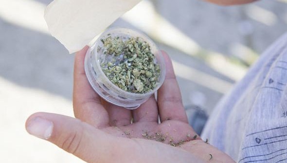 Posiadanie marihuany, kokainy i heroiny może być wkrótce legalne w Irlandii, GrowEnter