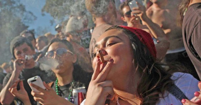 Co się dzieje w Kolorado 2 lata po legalizacji marihuany, GrowEnter