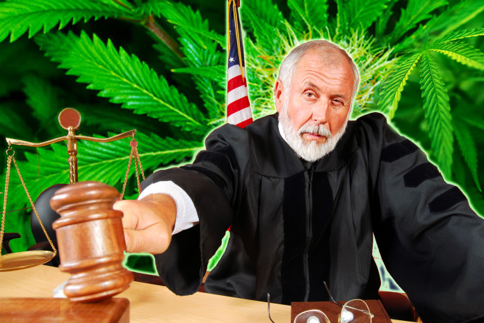 sędzia-uniewinnił-marihuana-kanada-6547