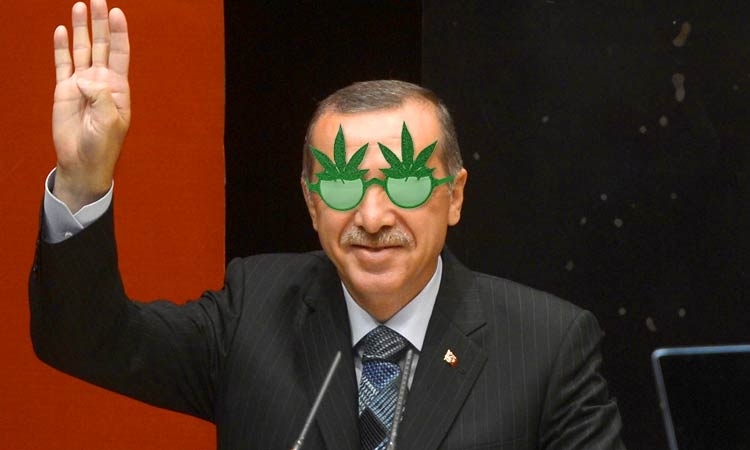 Erdoğanja: Turcja chce walczyć z kryzysem konopiami, GrowEnter