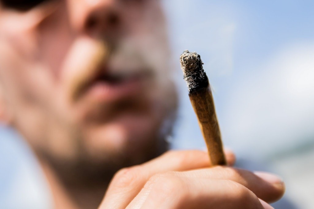 Zawartość THC w Czarnorynkowej Marihuanie i Haszyszu Ciągle Wzrasta, GrowEnter
