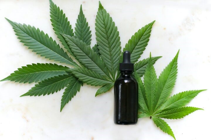 W Niemczech Dostępna Jest Medyczna Marihuana z Jamajki, GrowEnter